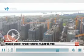 推动涉河项目快审批 赋能荆州高质量发展图片