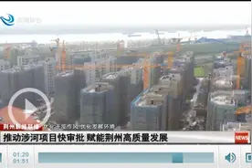 推动涉河项目快审批 赋能荆州高质量发展图片