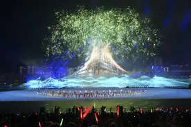（成都世运会）第12届世界运动会开幕式举行(43)图片