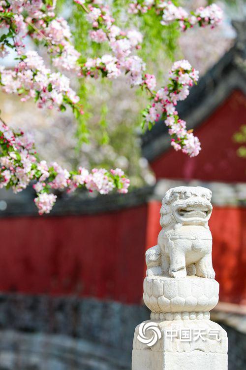 故宫里的春夏秋冬：时光沉淀间 四时皆盛景