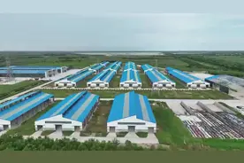 “镇”兴路上丨当一头牛有了自己的身份证图片