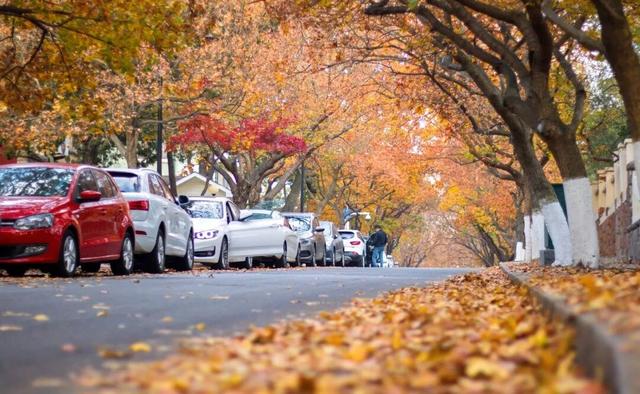 这10条冬游青岛线路，藏着N种浪漫！