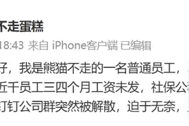 熊猫不走蛋糕多地公司成被执行人图片