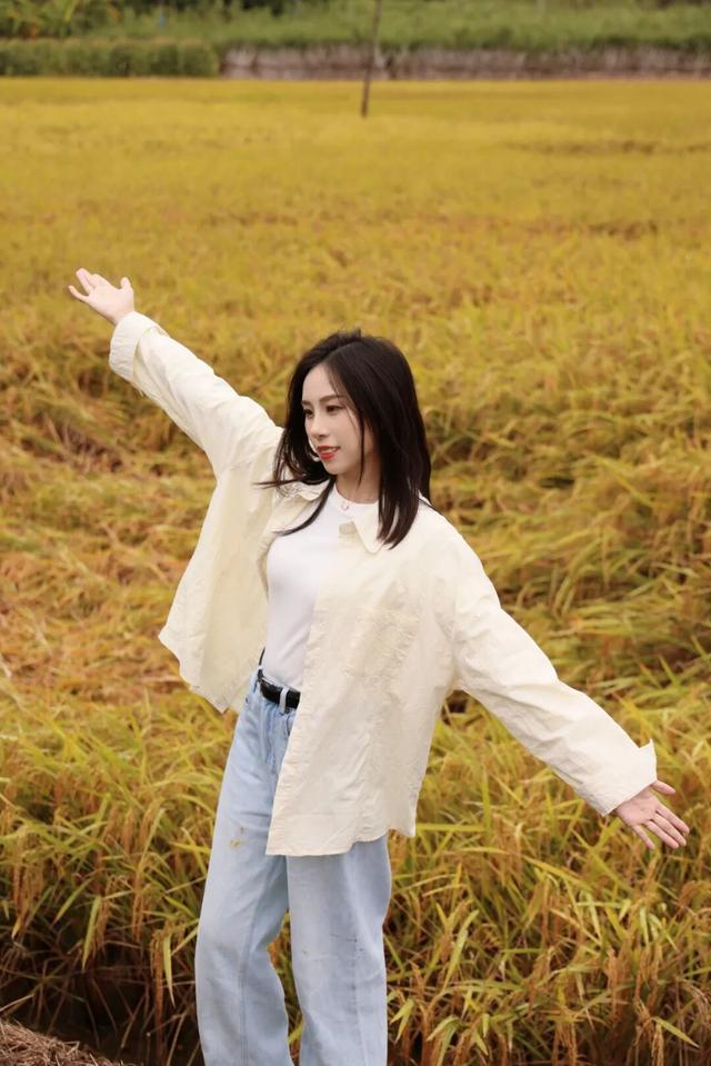 随手拍出电影感！良庆这片金色稻田，美到犯规！