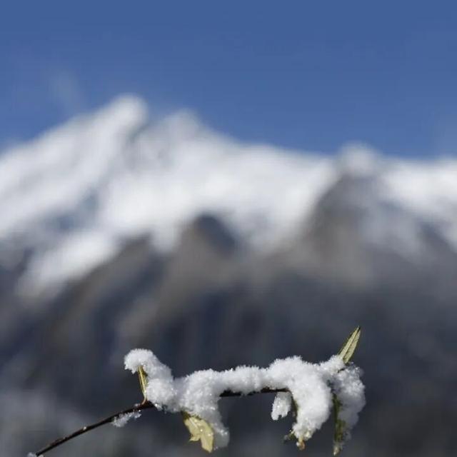 赴达古之约，赴一场冰雪秘境的沉浸式漫游｜冬季保姆级攻略