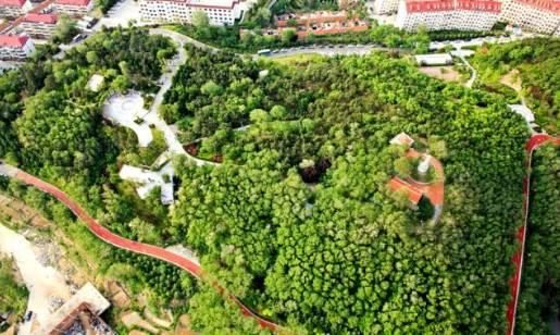 海风开道，秋色伴跑！威海喊你“动起来”~