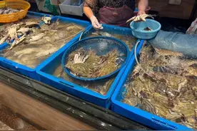 上市一周，梭子蟹什么价格了？经营户透露近期最佳购蟹时机→图片