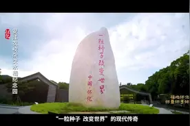怀化：昂起文旅“龙头”图片