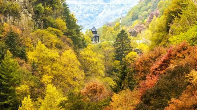 秋游张家口·国庆嘉年华|秋季必游打卡地推荐（六）