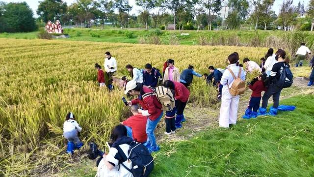 知识+100，快乐+100