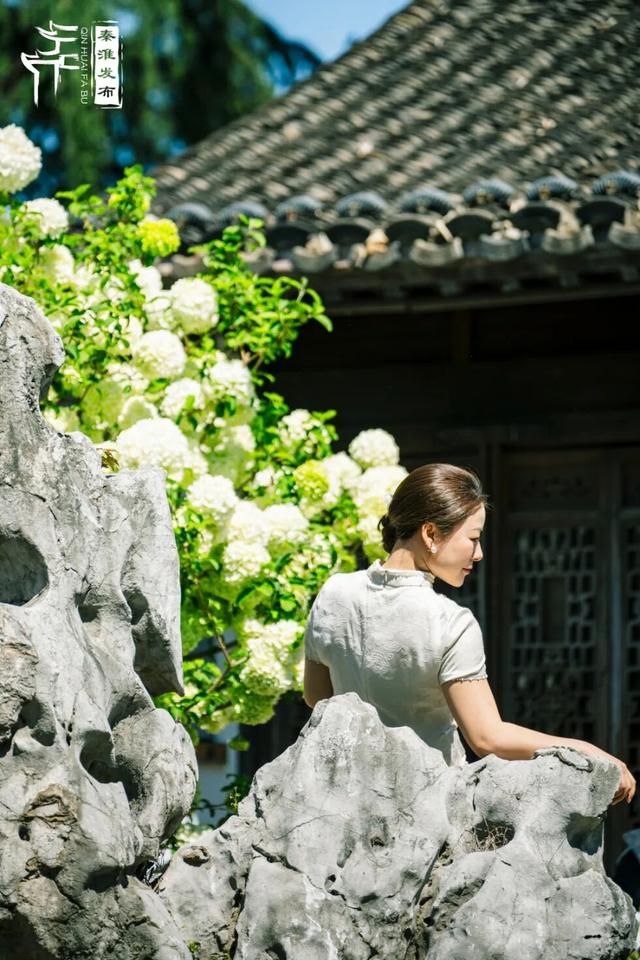 花样秦淮｜绣球花开