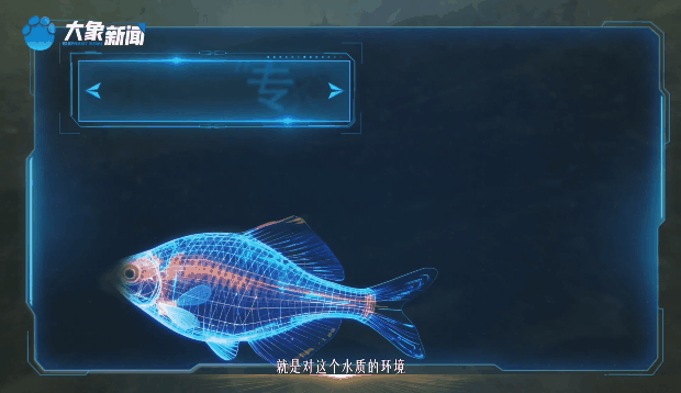 时政微视频丨黄河更美了