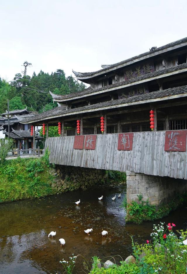 浙闽廊桥丨钟晓波：时思寺秘境 行走江南古村-寻数十座山水廊桥（10/3-7）
