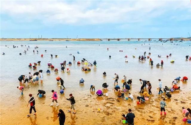 来高区，在海与诗里邂逅时光温柔