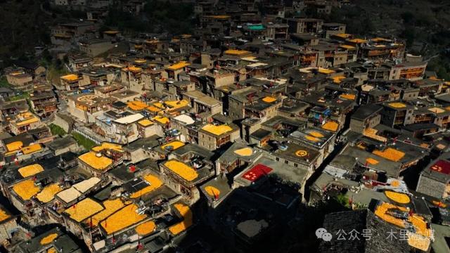 秋色秋景 | 走进童话世界里的木里
