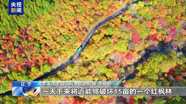 让文明为自然留住美景 别让“捡秋”变“伤秋”
