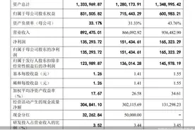 迎考！马可波罗IPO背后疑点多 黄建平“造梦”资本系族能成吗图片