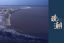 晚潮｜儿时的夏天图片