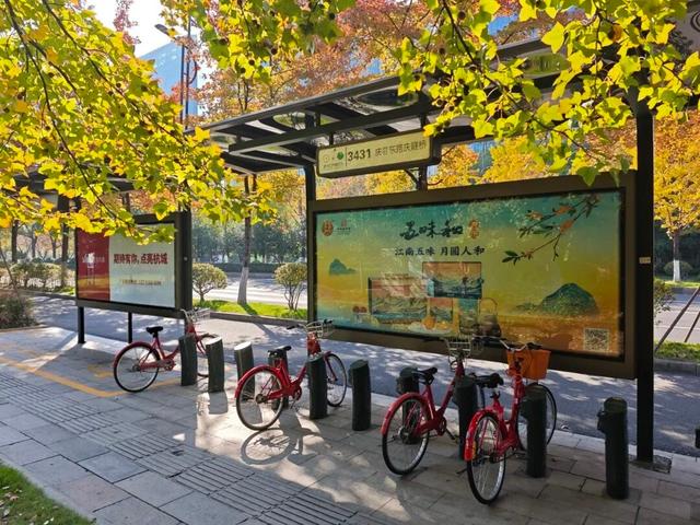 小红车+过江轮渡，无缝衔接攻略来了！