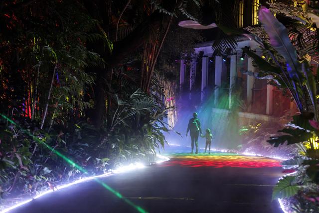 （外代二线）“夜间公园”灯光秀