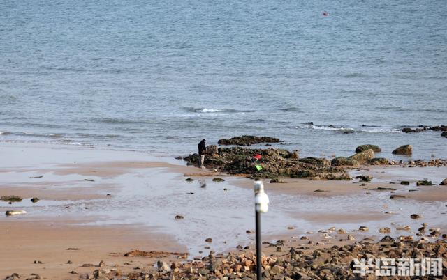 冬日暖阳映海滨