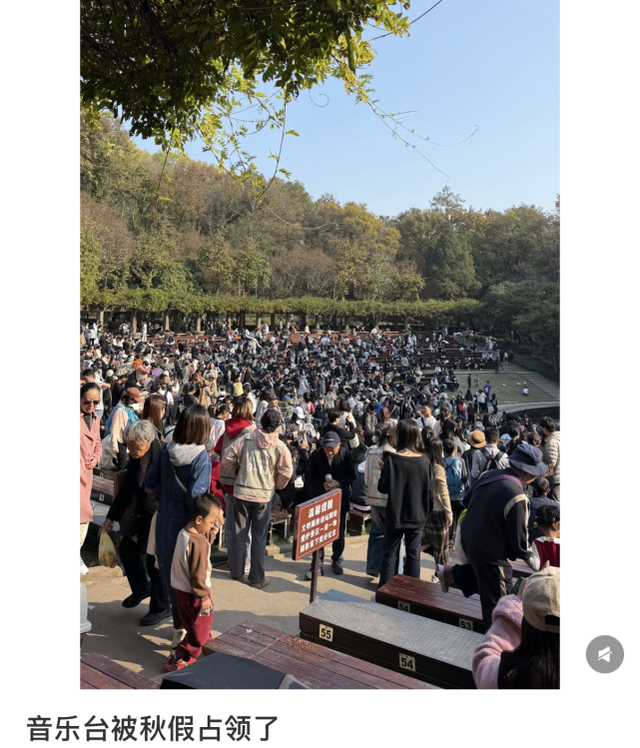 啥情况？“今天的南京，感觉有一亿人”