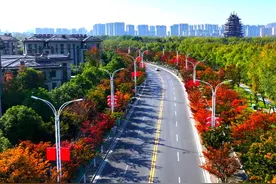 如果你来邳州，我想带你去____路！图片