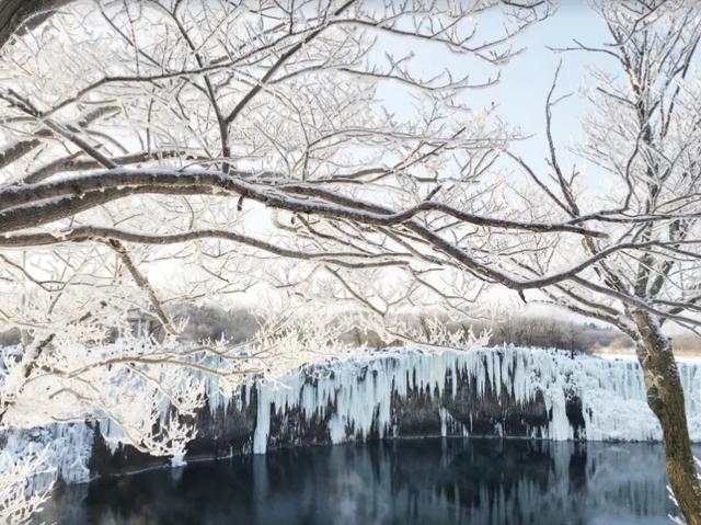限定仙境!黑龙江已上线!