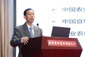 中国农科院发布食物与营养报告：我国每年损耗浪费食物4.6亿吨图片
