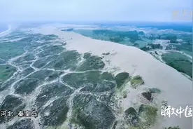 瞰中国丨海岸沙丘 生态奇观图片