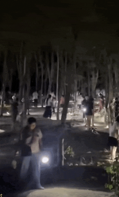 180元/斤的知了猴，快被山东人薅没了