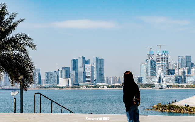 “看牛看海看夜景，深圳骑行路线精选”