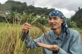 用一首歌唱尽平凡人一生，这个半农半歌的乐队火了图片