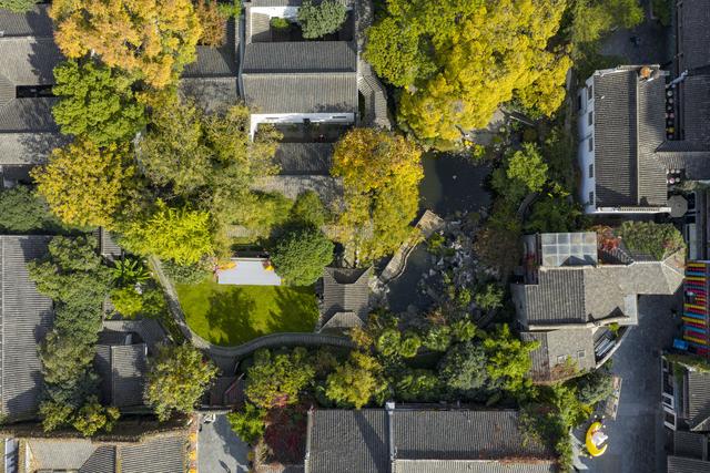 秋染金陵 山水城林入画来