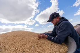 美国大豆协会答南都：希望政府达成新协议保护我们的中国市场图片
