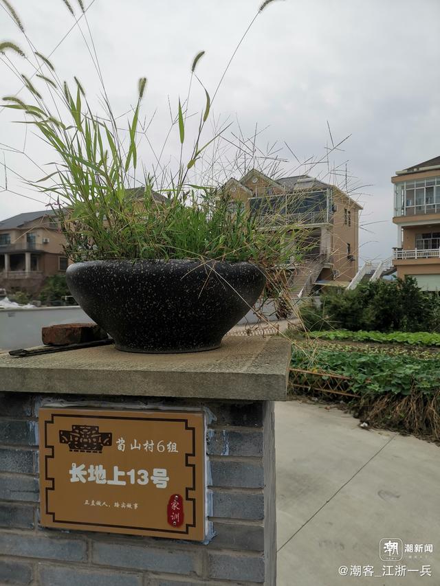 写点生活｜重阳节前游良渚