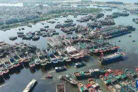 海南三亚：渔船归港休渔图片