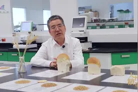 【大国粮策】从田间到舌尖，一粒小麦的“72变”图片