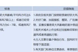 重庆发布大风蓝色预警：14个区县或受影响 阵风可达7级以上图片