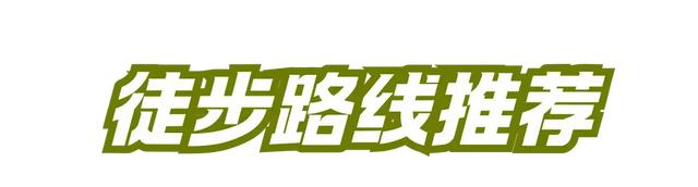 体荟四季｜这个国庆，去山野吧！五大路线任你选择，开启人生第一次高海拔徒步