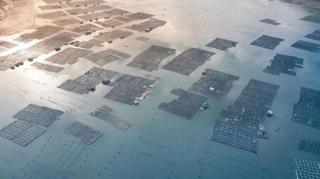 绝了，就在宁德！《中国国家地理》盛赞这处海上田园，“真香”啊~