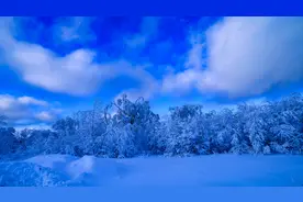 跟着镜头游龙江|大顶子山玉树琼枝 雪国天境饶美如画图片
