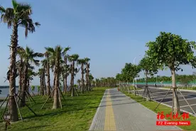 就在福州！“中国最美沿海公路”即将通车！图片