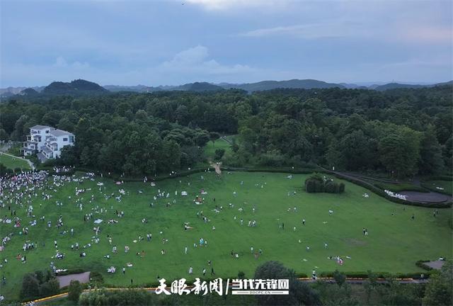 【不一样的生态游】23℃的森林间，藏着树屋下的魔法奇遇