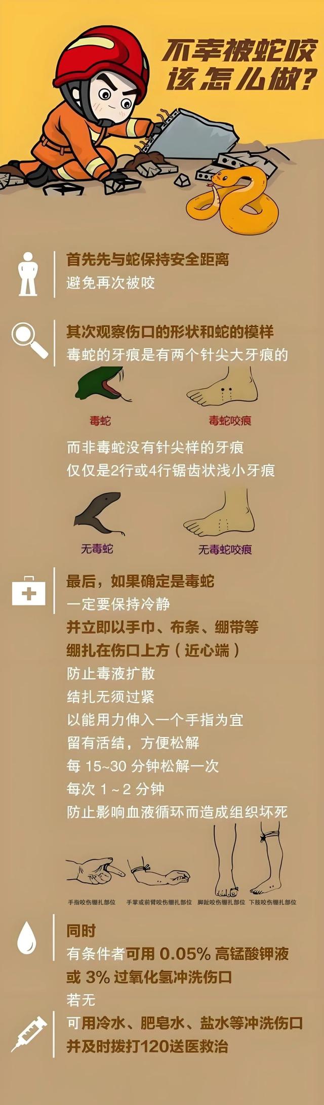 蛇蛇开启“暴走模式”，这份防蛇攻略请收好→