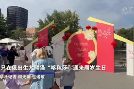 通讯丨在俄降生的首只大熊猫迎来周岁生日图片