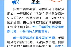 头发长会吸收人体很多营养吗？图片