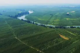 忆乔羽图片