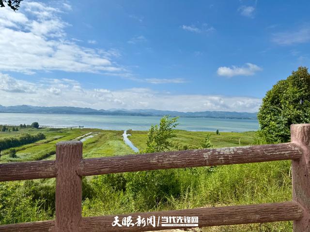 【生态保护】从“石漠坡”到绿满坡！ 草海北坡解锁生态旅游“慢”体验