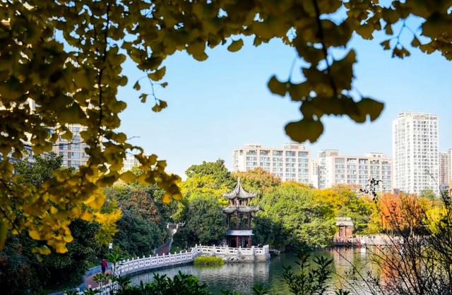 出片率100%！海陵“含金量”在上升！